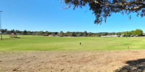 Help shape the future of Black Gully Linear Corridor Park and Captain Cook Recreation Reserve