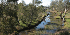 Oakey floodplain risk management