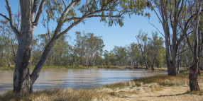 Funding kickstarts major upgrade of Tara Lagoon Parklands