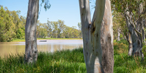 Rare opportunity extended for caretaker duo to make Tara Lagoon Parklands their own back yard