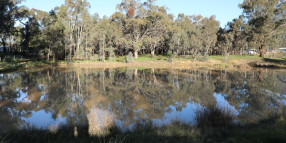 Wodonga's walks are for young and old