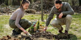 Youth Leading Wodonga PLANTATHON