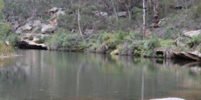 Council’s Plan to Protect Wollondilly’s Waterways