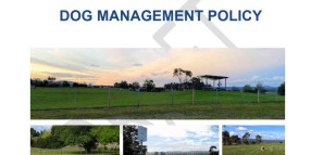 Draft Dog Management Policy