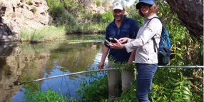 Water quality monitoring in Merri Creek connects the community with their local waterway