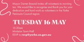 National Volunteer Week Morning Tea