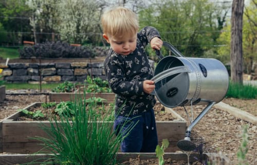 Online Gardening Course for Teachers
