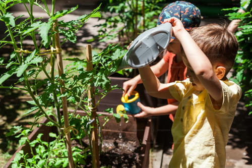 GROW, COOK, EAT!