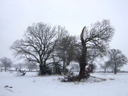 In the bleak mid-winter