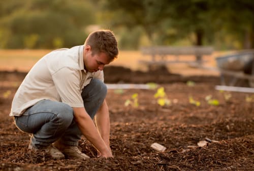HEALTHY COMPOST HEALTHY PLANET