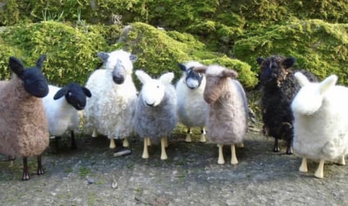 Wool Week