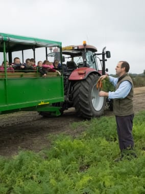 Farm visit Q&A