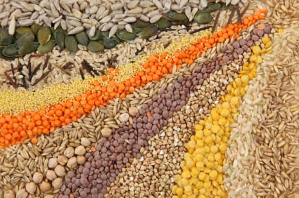 RESOURCES: Seeds and grains