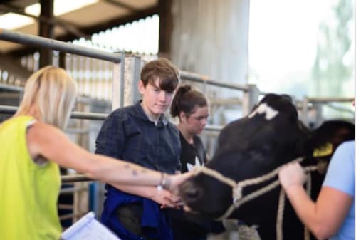 HOME EDUCATION HUB - CAREERS IN THE COUNTRYSIDE