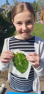 Smashing Chlorophyll