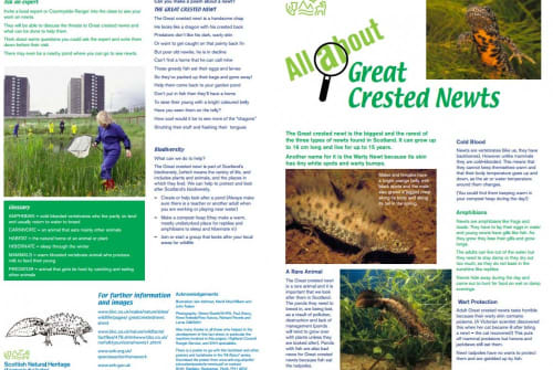 All about wildlife