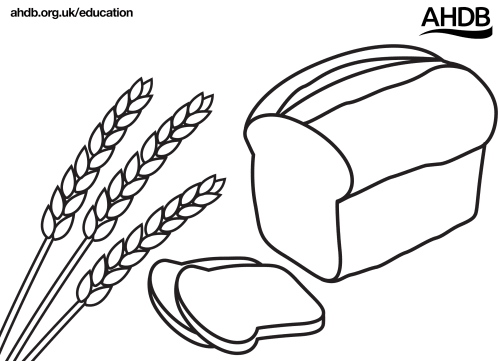 Grain Art Templates