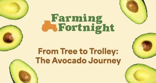 Learn about the journey of an avocado!
