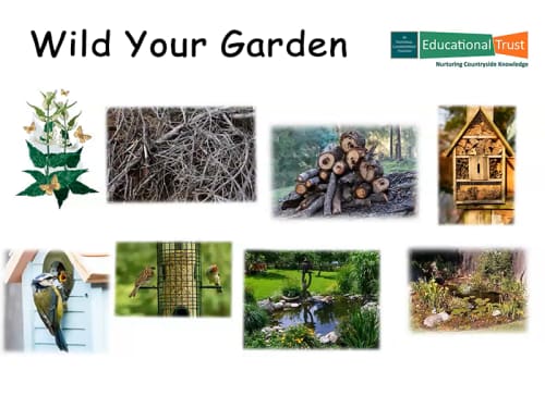 Conservation Fact File 7 - Wild Your Garden