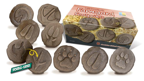 Let's Investigate - Farmyard Footprints