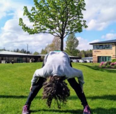 10 ways to Measure a Tree