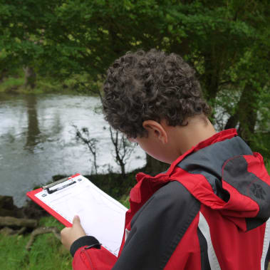 Using the Local Environment