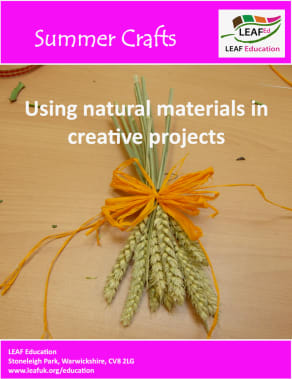 Summer crafts - home educator version