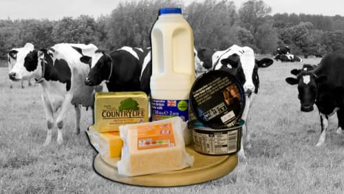The Story of Milk