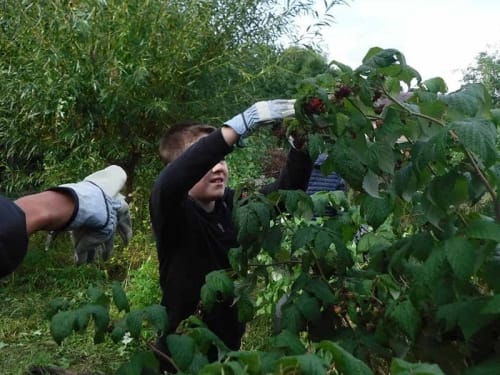 Nature-based learning - Tree Identification