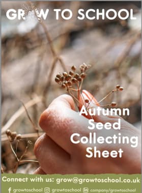 Autumn Seed Collecting Guide
