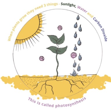 Carbon Cooling in our Landscape