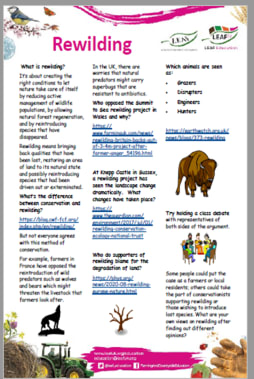 Rewilding