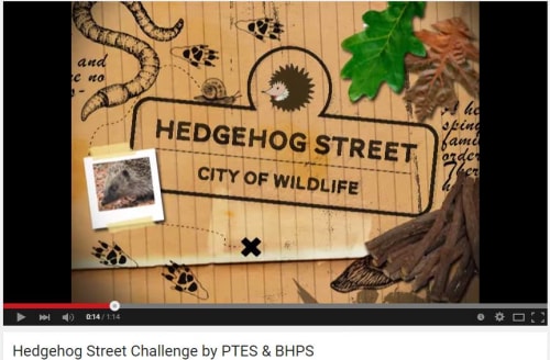 Hedgehog Street