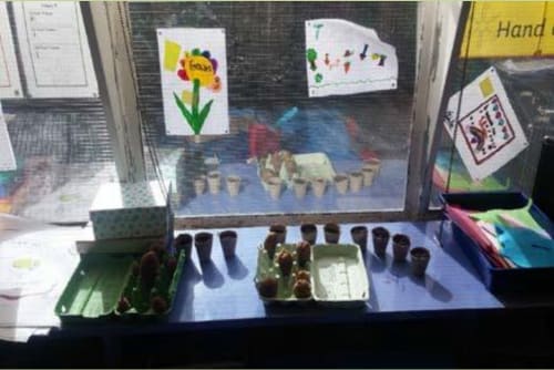 From small to big: seeds and germination