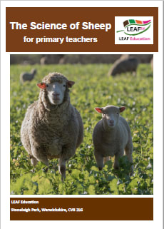 The Science of sheep