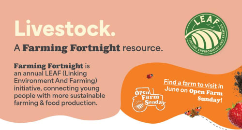 Livestock - Sustainable Farming