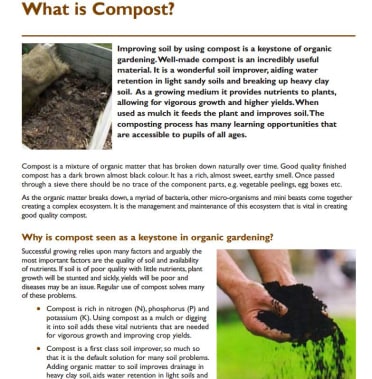 Making compost in schools