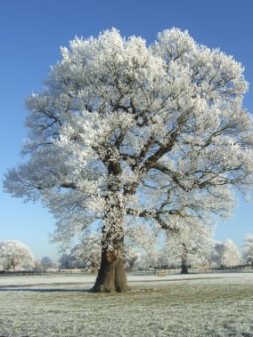 What's the weather doing today?