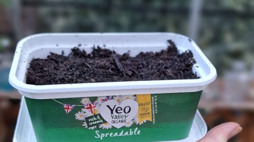 PICK UP A PACK OF FREE ORGANIC SEEDS WITH  YOUR SHOPPING TO GROW YEO OWN HERBS