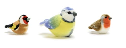 Countryside Classroom Competition