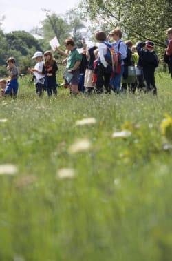 Reconnecting children with nature