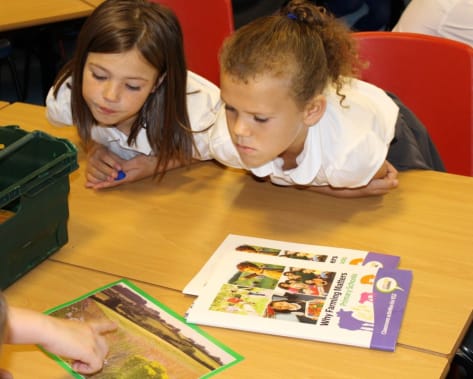 Talking about Open Farm Sunday in the classroom