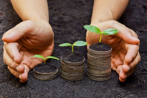 Three ways to teach sustainability