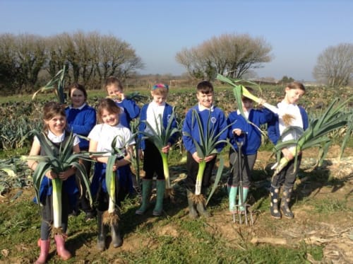 SCHOOL STORY: Leeks from soil to soup bowl