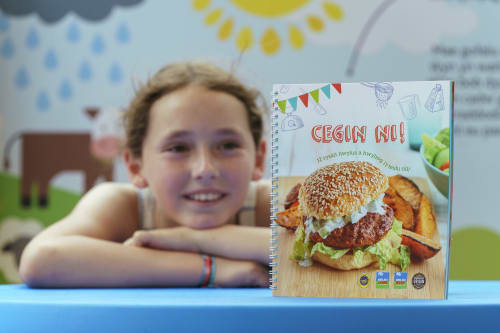 Hybu Cig Cymru – Meat Promotion Wales