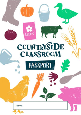 28 days to send us your Passports