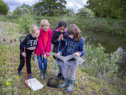 PROGRAMME: Junior Park Rangers