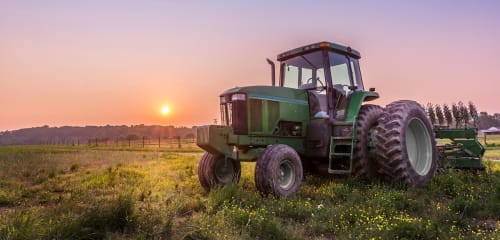 Enhancing the Business Skills of Rural Young People