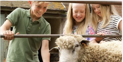 Farming Fortnight 2nd - 13th June 2025