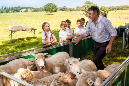 LEAF Education Suite of Offers